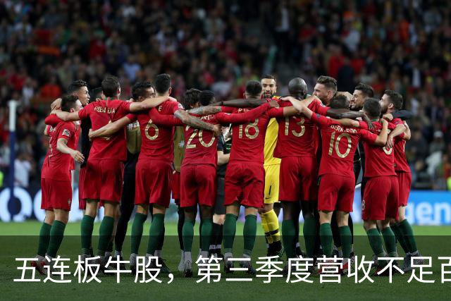 五连板牛股，第三季度营收不足百万，跌停开盘