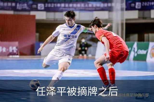 任泽平被摘牌之后