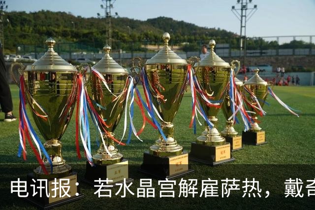 电讯报：若水晶宫解雇萨热，戴奇成新帅热门