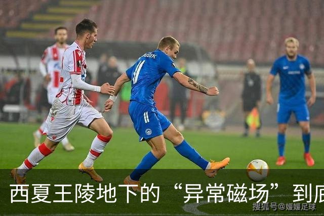 西夏王陵地下的“异常磁场”到底是什么？真相让人大跌眼镜