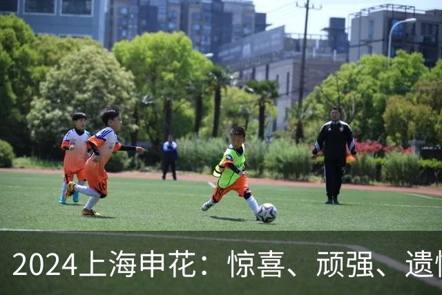 2024上海申花：惊喜、顽强、遗憾--明年拿冠军